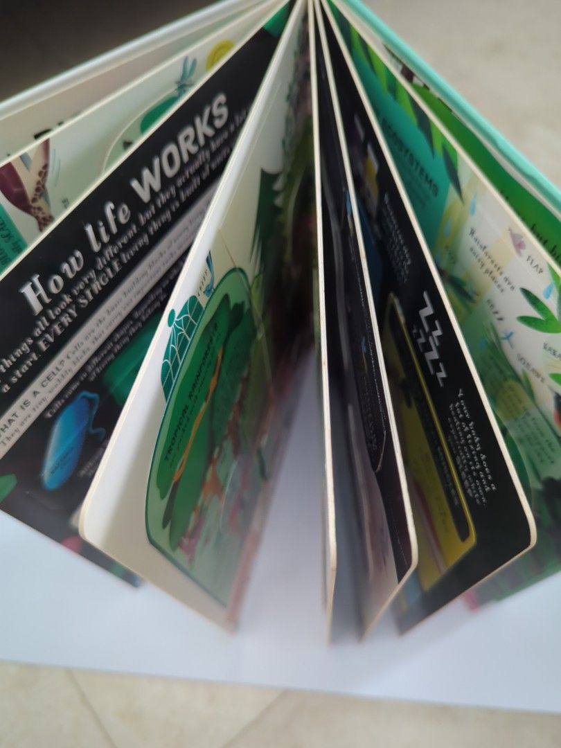 Biology Lift-the-flap book by Usborne, Hobbies & Toys, Books ...