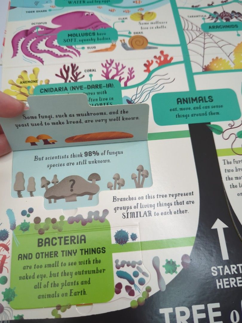 Biology Lift-the-flap book by Usborne, Hobbies & Toys, Books ...