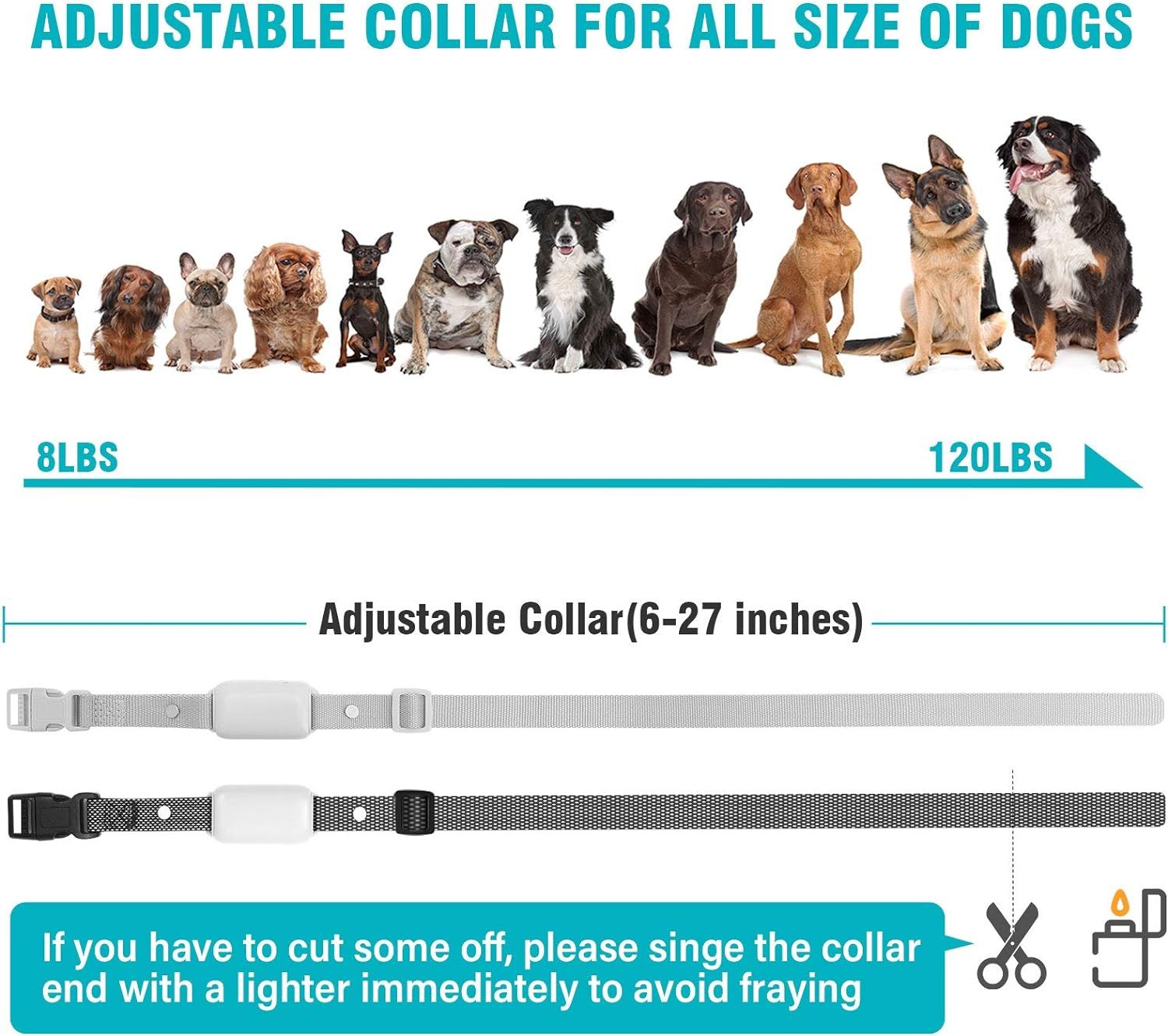 Electric dog collar hotsell for small dogs