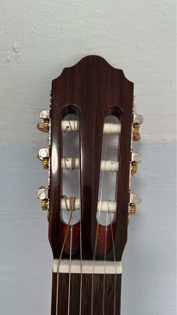 Cort AC160CF Acoustic Electric Guitar, Hobbies & Toys, Music & Media ...
