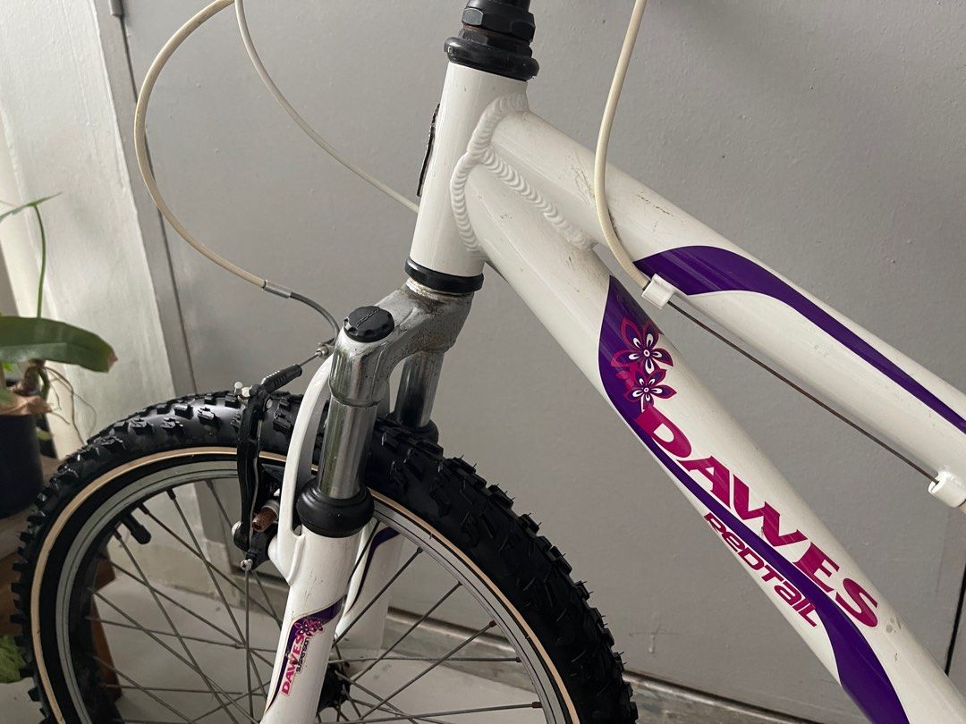 Dawes redtail 20