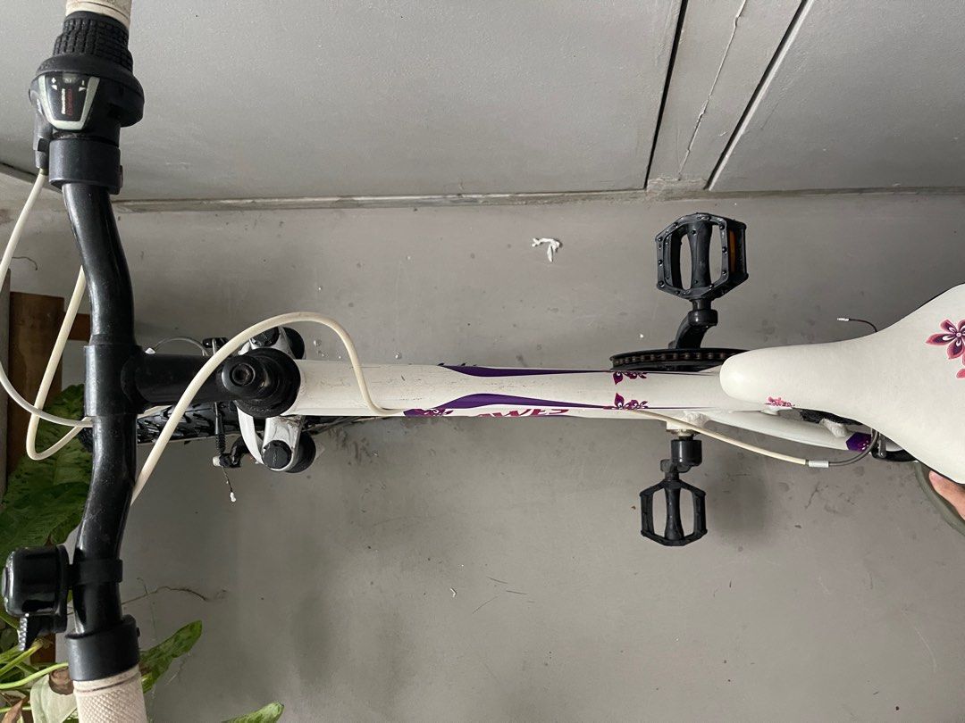 Dawes redtail top