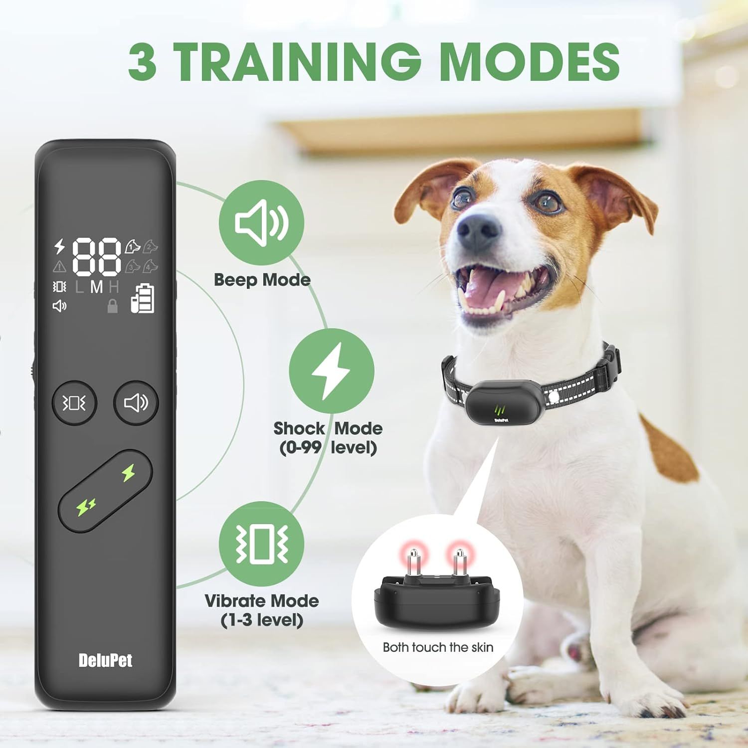 Electronic collar discount