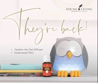 Original young living Feather the owl