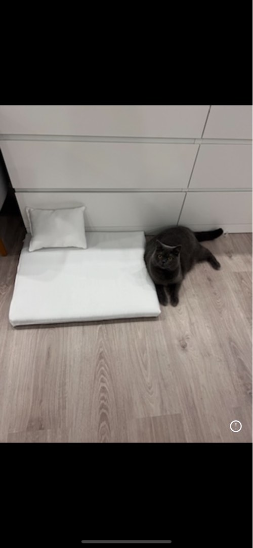 Uratex dog bed shop