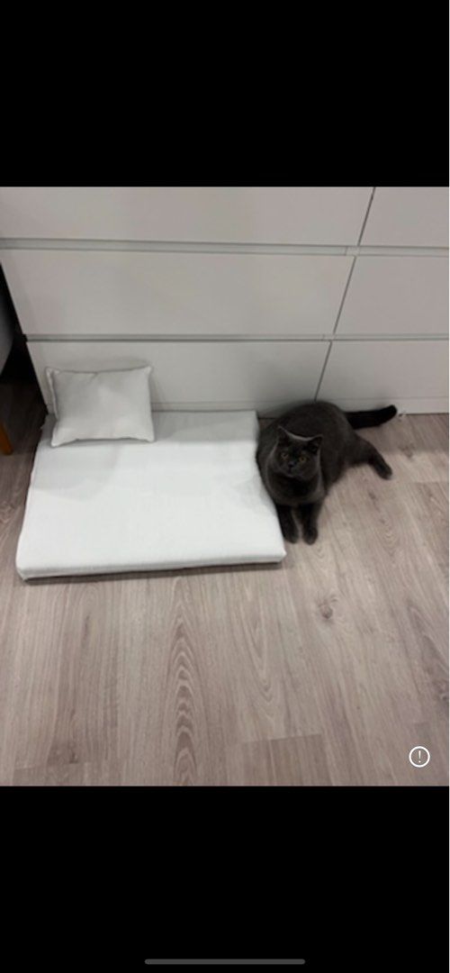 Pet Bed Uratex foam with removable cover and pillow Pet