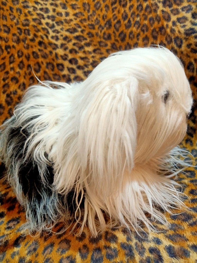 VERY BEAUTIFUL IMPORTED REALISTIC SHIH TZU DOG PLUSH, Hobbies & Toys ...