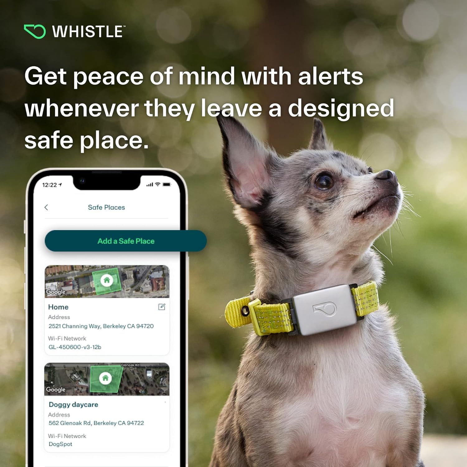 Dog sales tracker plus