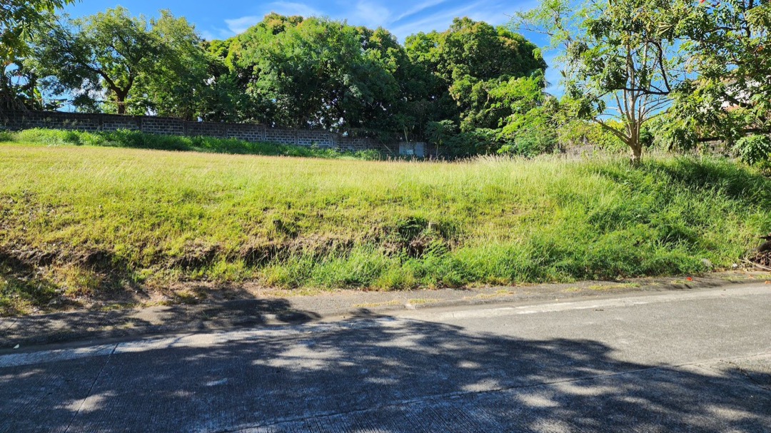 782 sqm Bare Lot in Ayala Alabang For Sale AAV Near park and playground