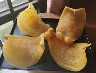 九龍門店收購海味 花膠 燕窩 鮑魚 海參 鮑參翅肚 山珍海味