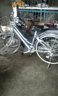 Albelt bike