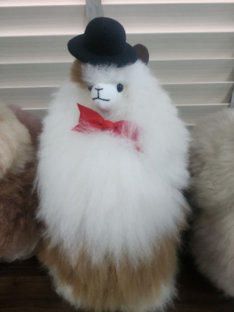 ALPACA, Hobbies & Toys, Toys & Games on Carousell
