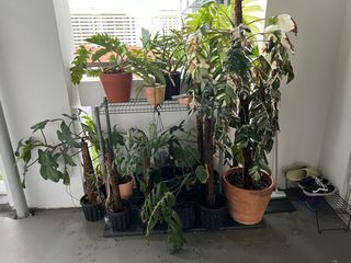 (Category: ) located in . Submitted by 6nineteen (Listing ID 1269389120, Image 1). Description: .