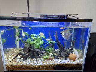 (Category: ) located in . Submitted by watch5969 (Listing ID 1269331499, Image 1). Description: .