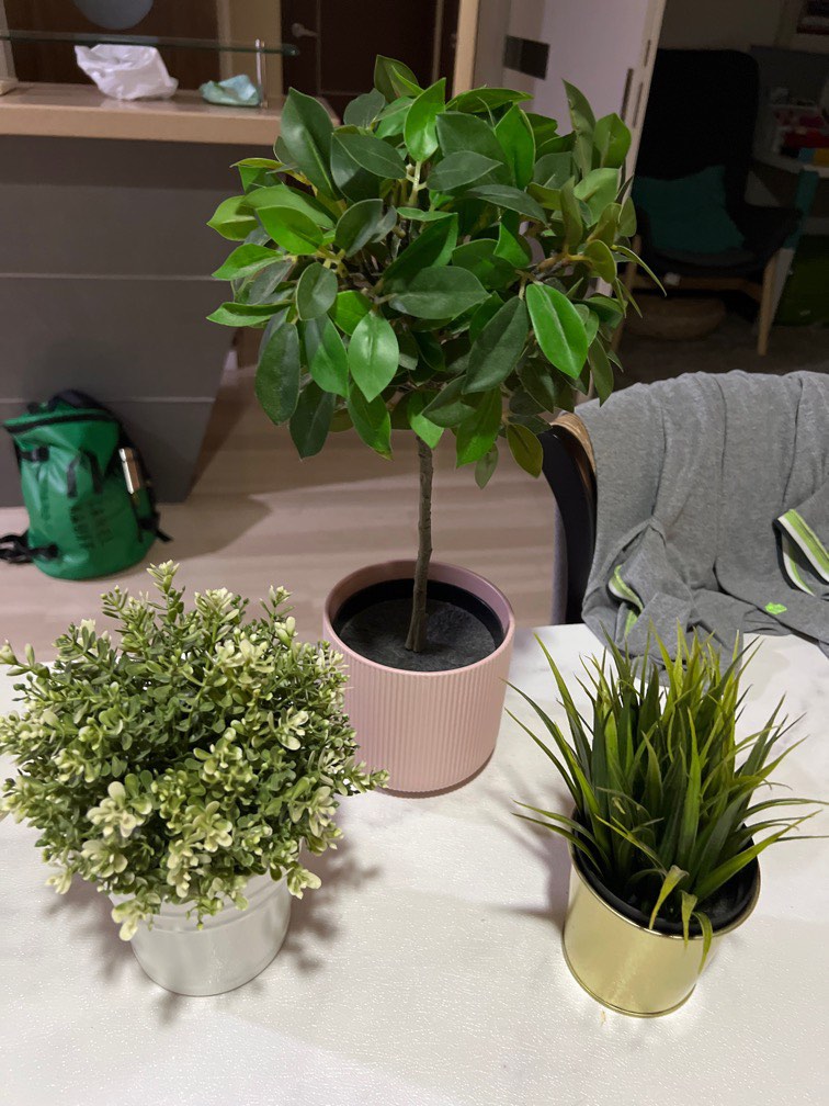 IKEA Synthetic flowera, Furniture & Home Living, Home Decor, Artificial