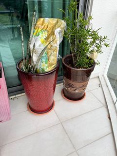 (Category: ) located in . Submitted by hoewai (Listing ID 1269296650, Image 1). Description: .