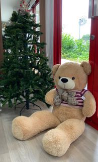 Large Teddy Bear