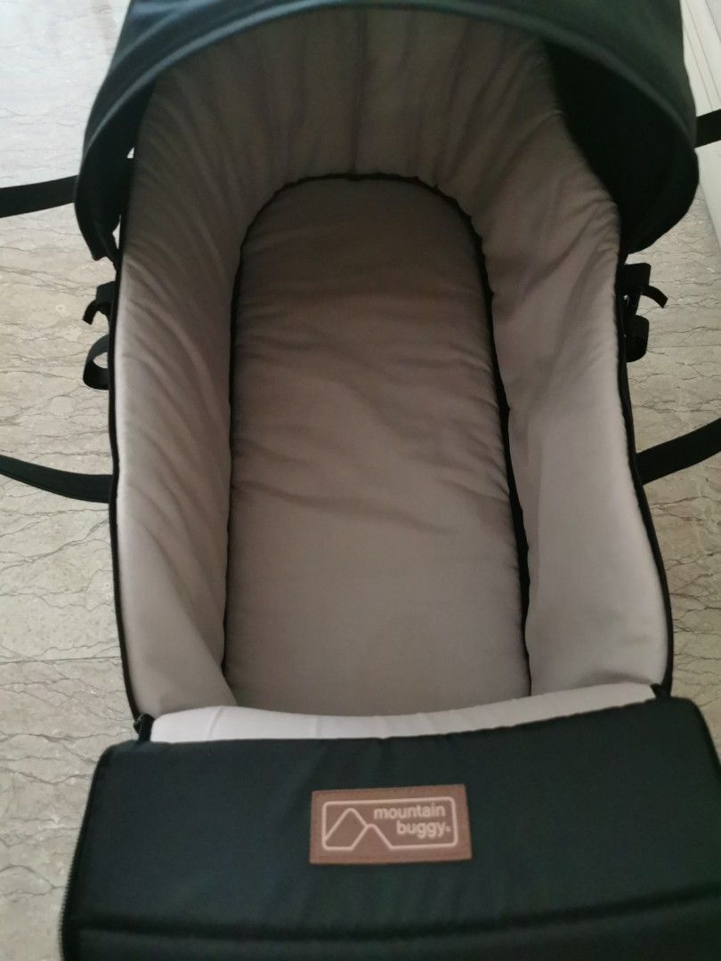 Mountain buggy hotsell nano bassinet