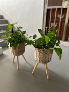 (Category: ) located in . Submitted by ridhidhir (Listing ID 1269374489, Image 1). Description: .