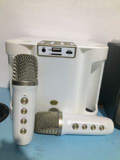 Portable speaker with 2 wireless mic