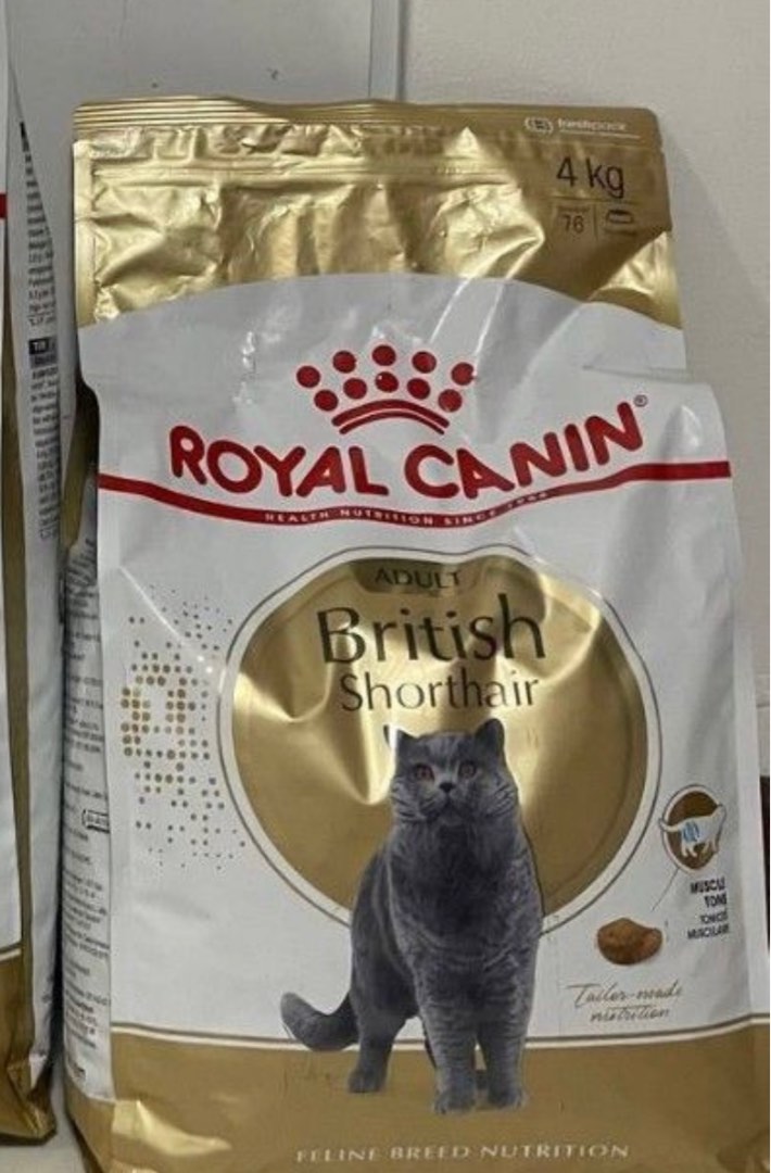 Royal canin british shorthair 4kg clearance