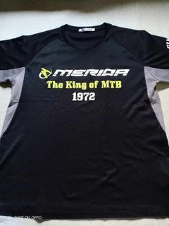 Uniqlo Merida shirt
