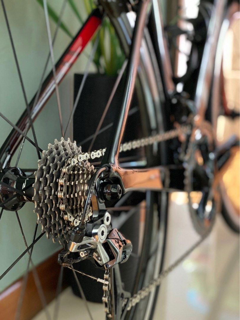 Madone h2 2025