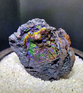 （分類：）位於 。 由 yanyancyy 提交（商品編號 1269568398，圖片 1）。簡介： 。
