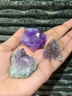 (Category: ) located in . Submitted by airplantssg (Listing ID 1269657804, Image 1). Description: .