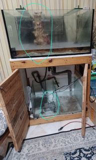 (Category: ) located in . Submitted by fred8869 (Listing ID 1269644460, Image 1). Description: .