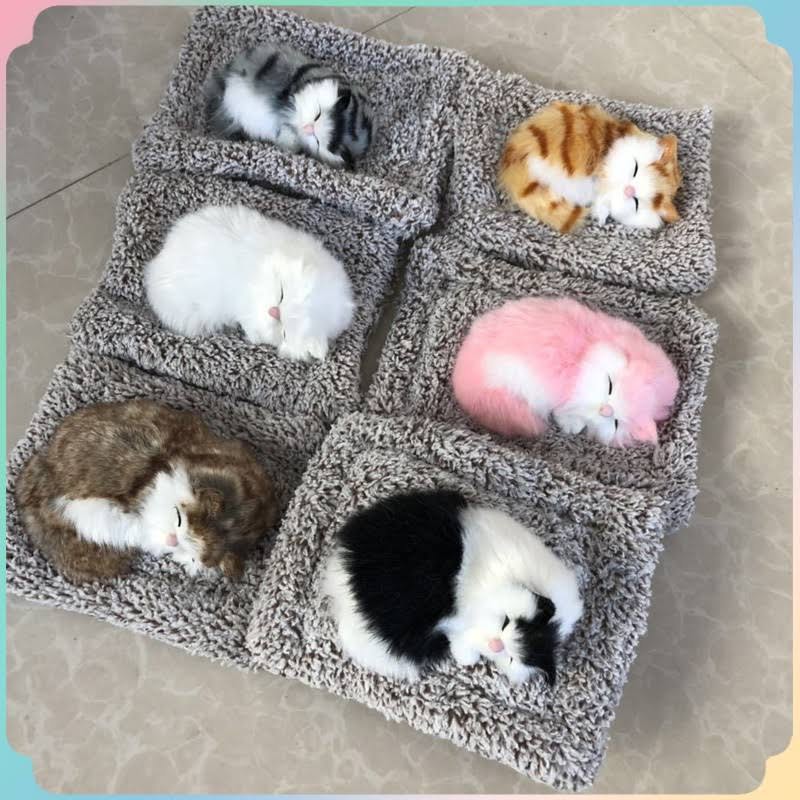 Cat plushie display cat plush toy, Hobbies & Toys, Toys & Games on ...
