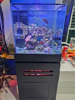 (Category: ) located in . Submitted by onestoppp (Listing ID 1269597647, Image 1). Description: .