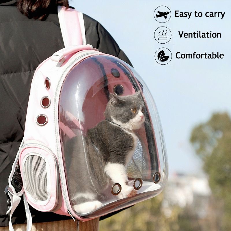 Transparent cat deals backpack