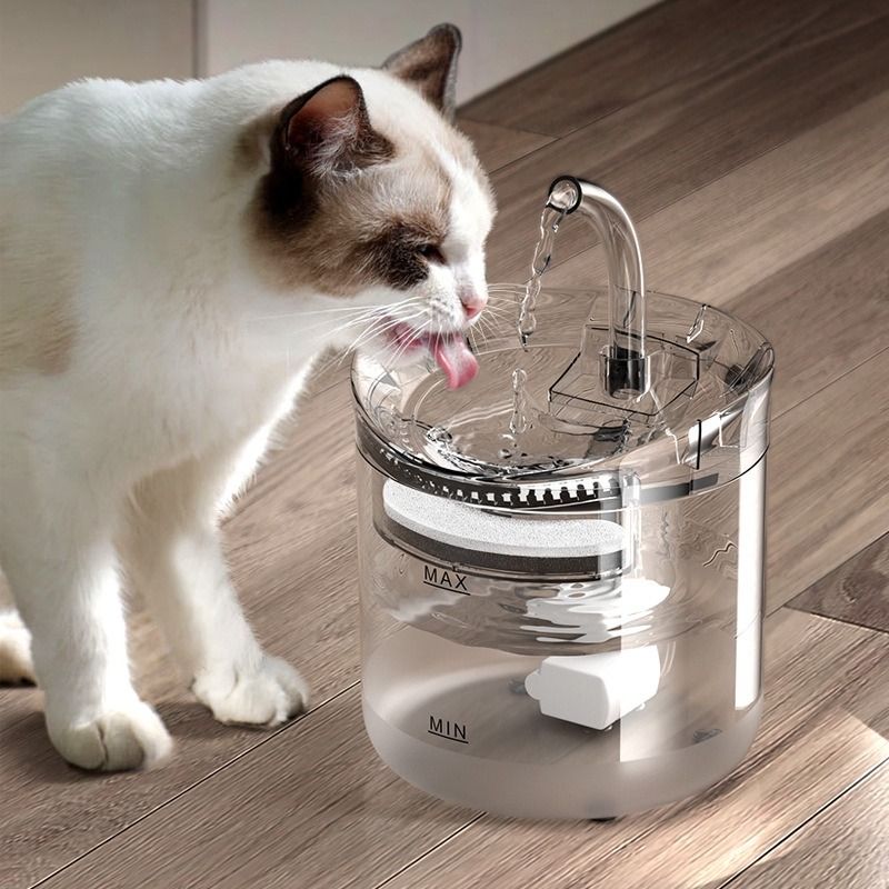 Filtered water dispenser for dogs online