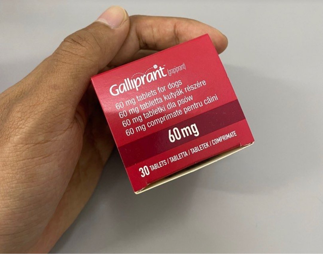 Galliprant 60mg EXP 02 2024 Pet Supplies Health Grooming on