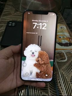 Iphone 12 pro max 256gb