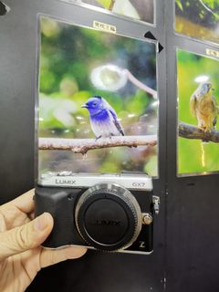 （分類：）位於 。 由 shamwo_114 提交（商品編號 1269601438，圖片 1）。簡介： 。