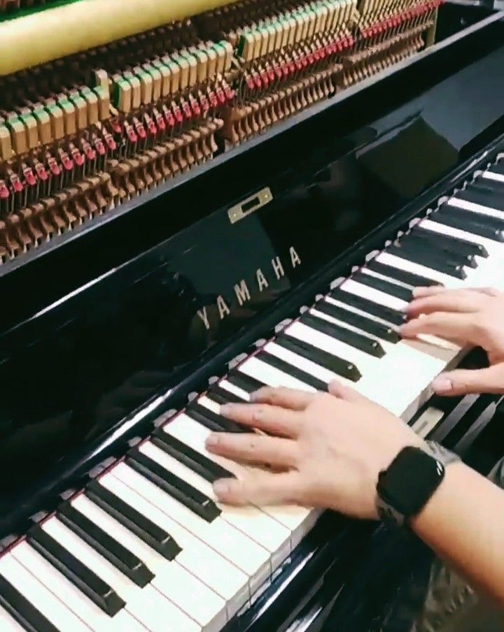 Piano 2024 tuning $60