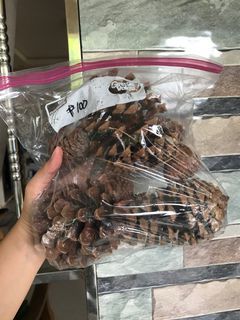 Pine Cones from USA - different sizes per bag