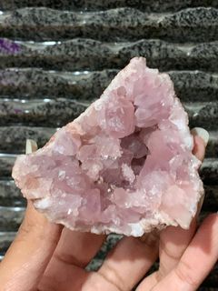 (Category: ) located in . Submitted by airplantssg (Listing ID 1269656019, Image 1). Description: .