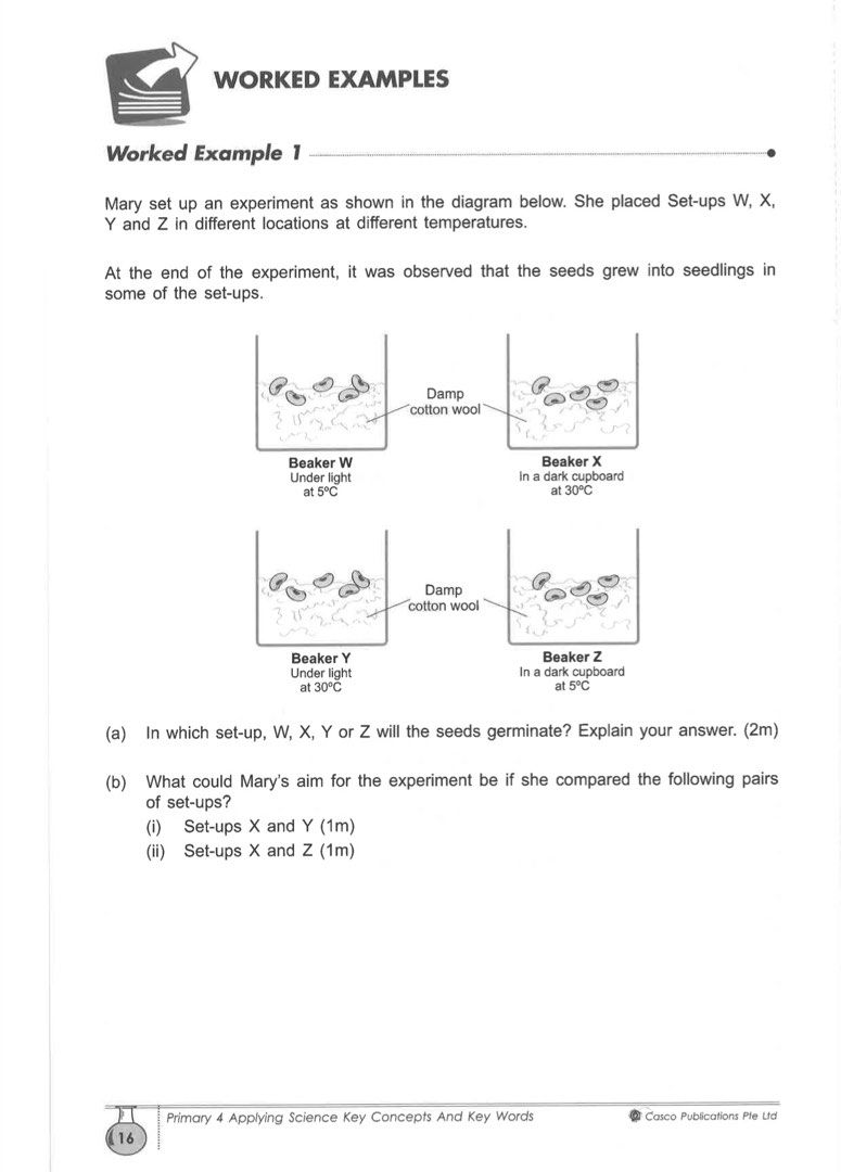 Primary 4 P4 Science Assessment Book Key Concepts Notes PDF Digital ...