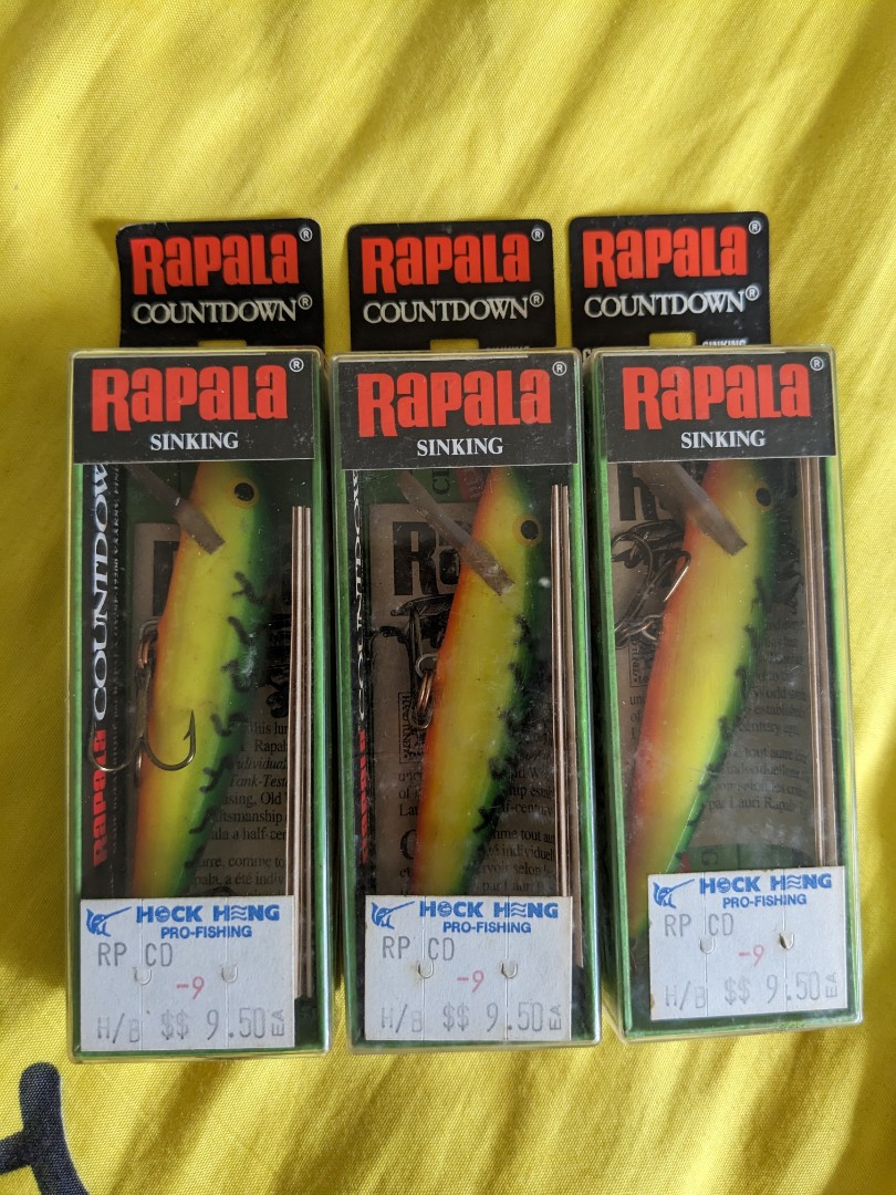 Rapala Countdown CD-9 Ft Sinking Lure, Sports Equipment, Fishing on  Carousell