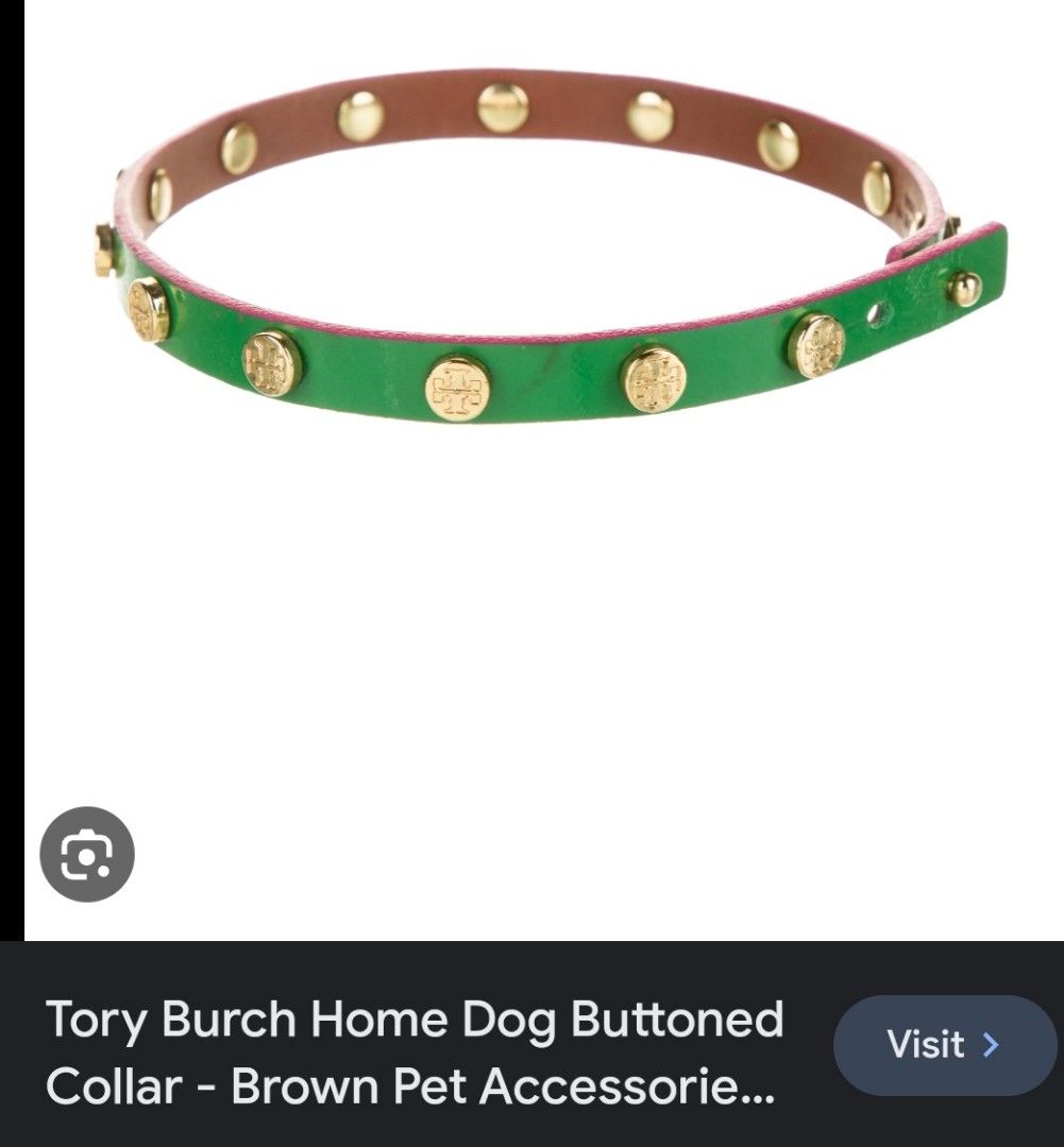 Tory burch hot sale dog collar