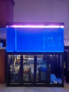 (Category: ) located in . Submitted by charlesong-carousel (Listing ID 1269771531, Image 1). Description: .