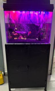 100+ affordable ikan aquarium For Sale, Homes & Other Pet Accessories