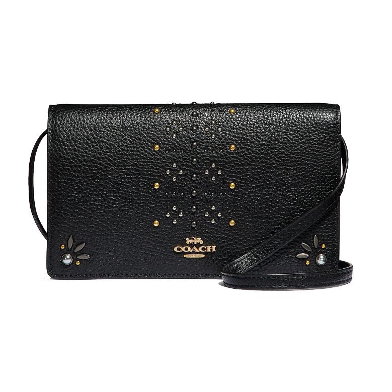 Coach hayden foldover hotsell crossbody clutch with rivets