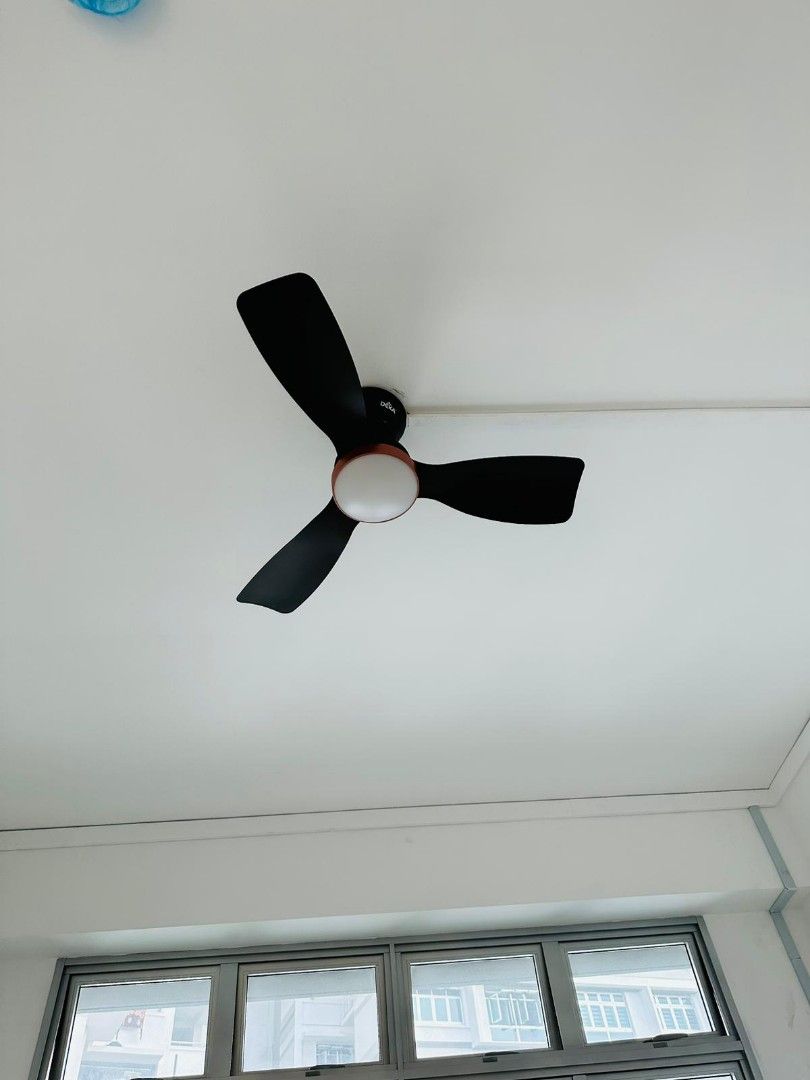 Ceiling Light Ceiling Fan