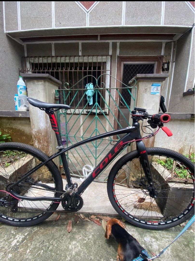 Cole discount brontes 29er