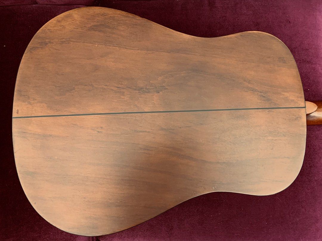Epiphone Epi ED 100