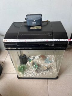 Fish tank for small fish!